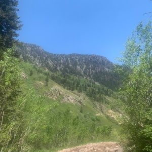 Meet your Posher, Shauna